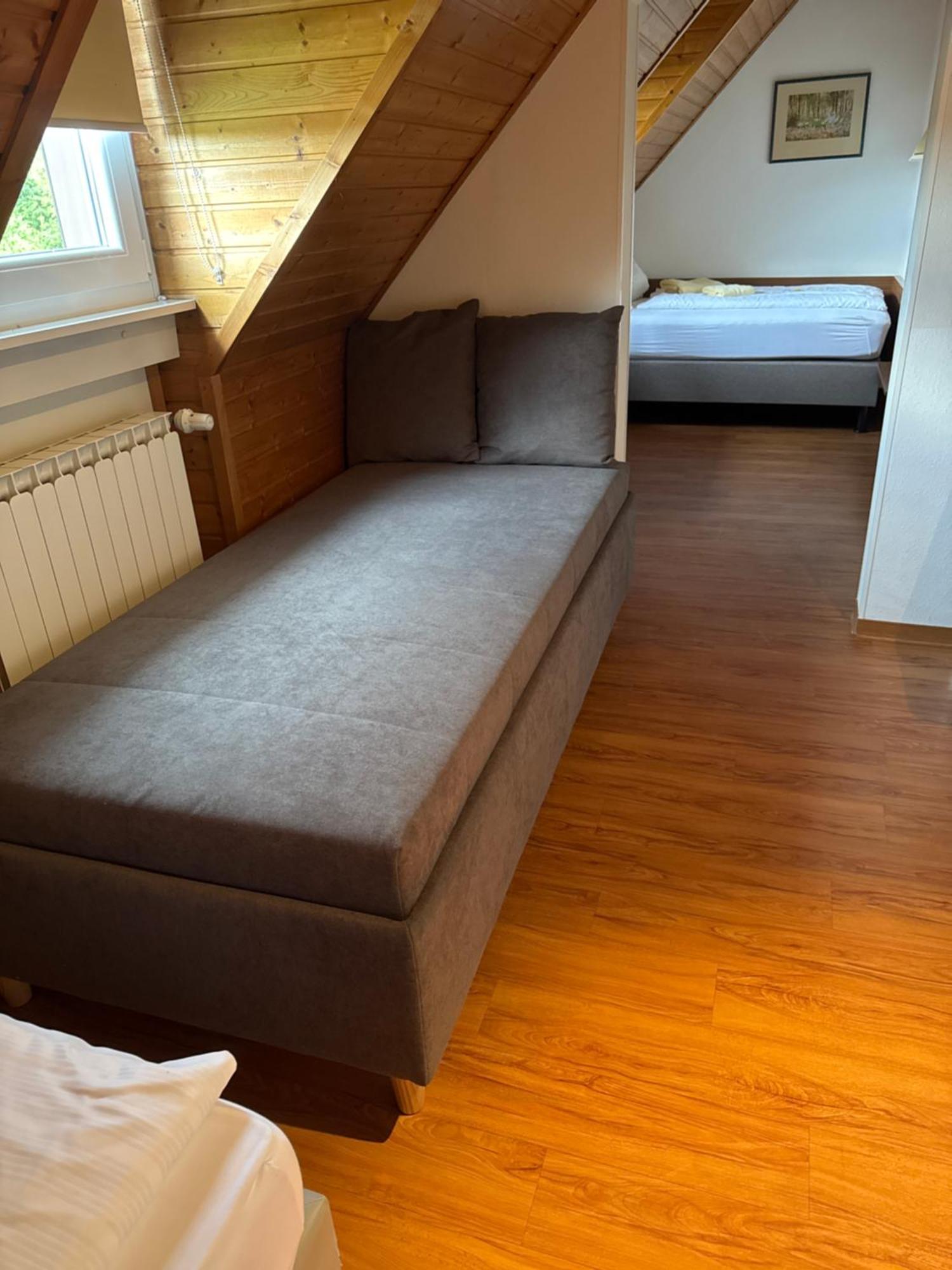 Gaestehaus An Der Rheinbruecke Altlussheim Eksteriør billede