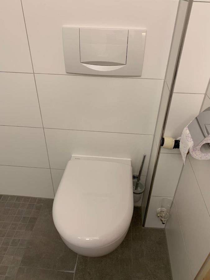 Gaestehaus An Der Rheinbruecke Altlussheim Eksteriør billede